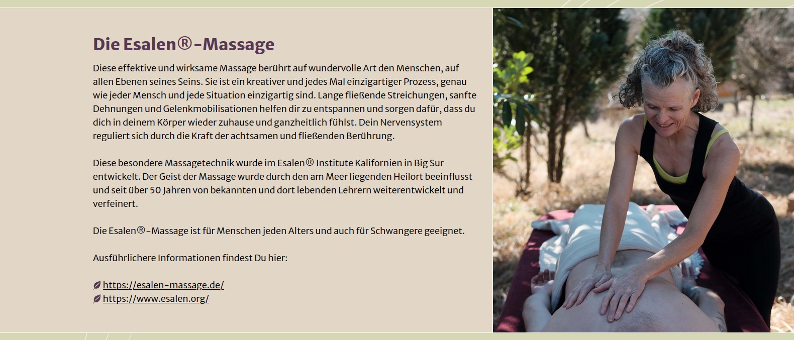 Abschnitt auf 1600px Breite, das Bild neben dem Text zeigt einen deutlich breiteren Ausschnitt mit Hintergrund